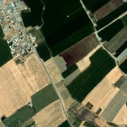 Tutal map(satellite map)