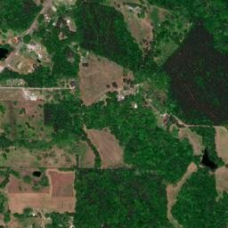 Wolftown Alabama High Resolution Satellite Map