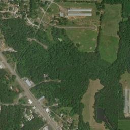 Morgan City Alabama High Resolution Satellite Map