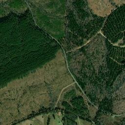Pine Cone Road, Ouachita National Forest High Resolution Satellite Map