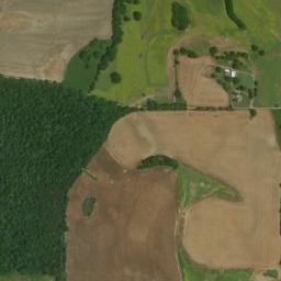 Lynntown Alabama High Resolution Satellite Map