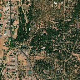 Pine map(satellite map)