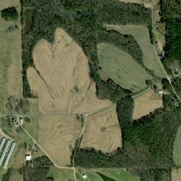 Maynard Alabama High Resolution Satellite Map