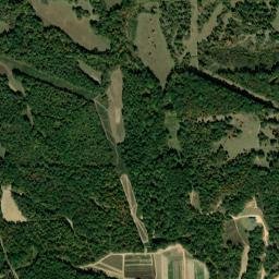 Panola County map(satellite map)