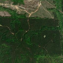 147 Maple St Vina AL 35593 USA High Resolution Satellite Map