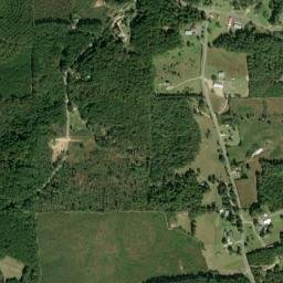 Rhinehart Alabama High Resolution Satellite Map