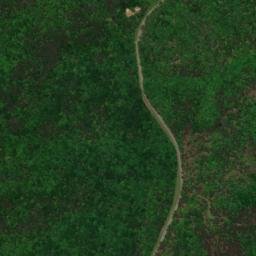 Hepsidam Alabama High Resolution Satellite Map