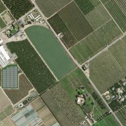 Limoneira California High Resolution Satellite Map