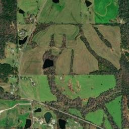 Lane Alabama High Resolution Satellite Map