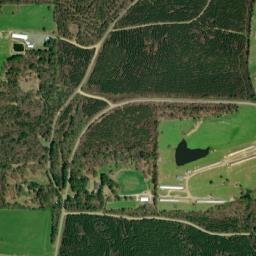 Mineola Arkansas High Resolution Satellite Map