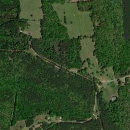 1880 County Rd 18 Hodges AL High Resolution Satellite Map