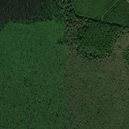 Columbus County map(satellite map)