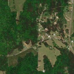 Ellaville Alabama High Resolution Satellite Map