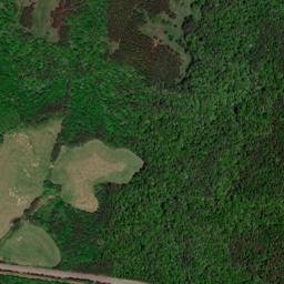 Maple Forks Alabama High Resolution Satellite Map