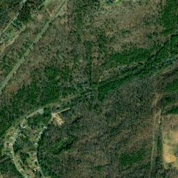 Ewing Alabama High Resolution Satellite Map