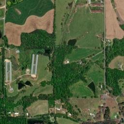 Whitesville Alabama High Resolution Satellite Map