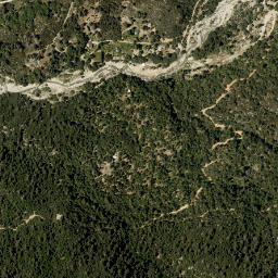 Pinezanita California High Resolution Satellite Map