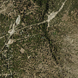 Angelus Oaks California High Resolution Satellite Map