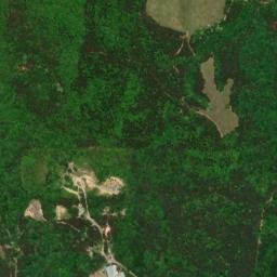 Winston County map(satellite map)