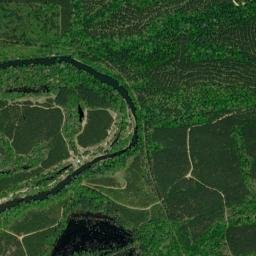 Graysonia Arkansas High Resolution Satellite Map