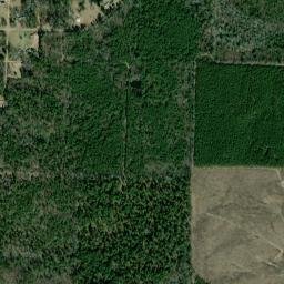 Willow Arkansas High Resolution Satellite Map