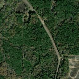 Cooney Arkansas High Resolution Satellite Map