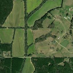 264 Co Rd 1463 Nettleton MS 38858 High Resolution Satellite Map