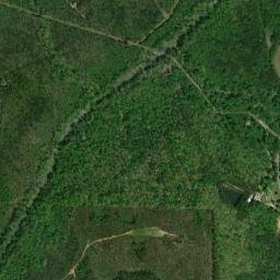 Pearces Mills Alabama High Resolution Satellite Map