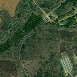 Clayborn Alabama High Resolution Satellite Map