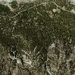 Forest Falls California High Resolution Satellite Map