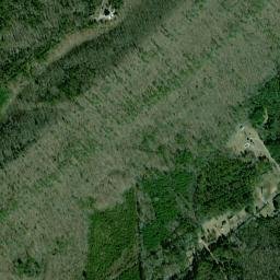 Upton Alabama High Resolution Satellite Map