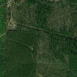 Clear Spring Arkansas High Resolution Satellite Map