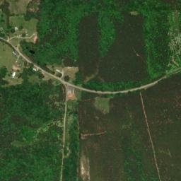 Black Pond Alabama High Resolution Satellite Map