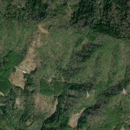 Yoshinogawa Shi map(satellite map)