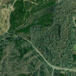 Pana Alabama High Resolution Satellite Map