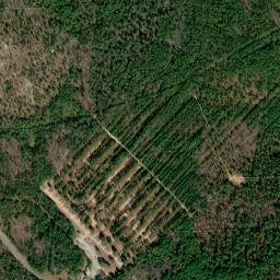 Richland County map(satellite map)
