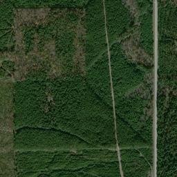 Unnamed Road, Rison, AR 71665 High Resolution Satellite Map