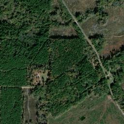 Bunn Arkansas High Resolution Satellite Map