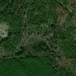 3834-3842 Magnolia Street, Rison, AR High Resolution Satellite Map