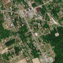 Pamplico map(satellite map)