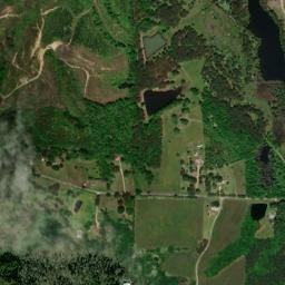 Slicklizzard Alabama High Resolution Satellite Map