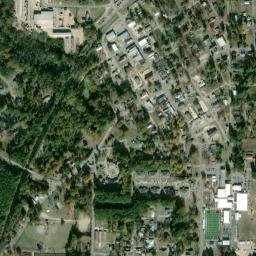 Rison map(satellite map)