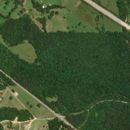 3337 U.S. 43, Guin, AL 35563, USA High Resolution Satellite Map