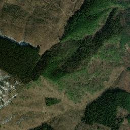 Miyoshi Shi map(satellite map)