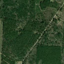 Jacinto Arkansas High Resolution Satellite Map