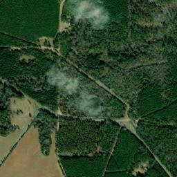 Pine Grove Arkansas High Resolution Satellite Map