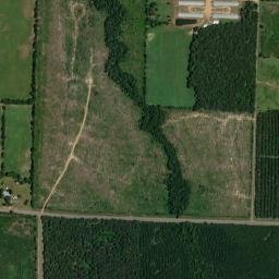 2078-2148 AR-41 Winthrop AR 71866 High Resolution Satellite Map