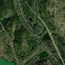 Cedrum Alabama High Resolution Satellite Map