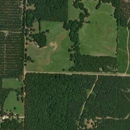 Line Road, Ouachita National Forest, Foreman High Resolution Satellite Map
