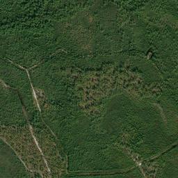 Satellite view of Love Course